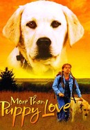 More Than Puppy Love poster image