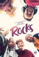 Rocks poster image