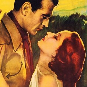 The Cowboy and the Lady photo 11