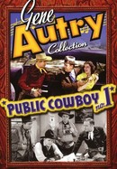 Public Cowboy, No. 1 poster image