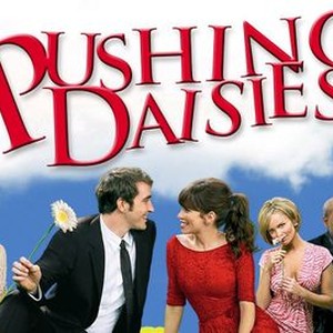 "Pushing Daisies photo 4"