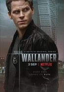 Young Wallander poster image