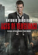 Acts of Vengeance poster image