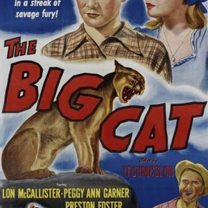 The Big Cat (1949) photo 6