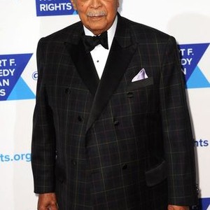 David Dinkins at arrivals for The Robert F. Kennedy Center for Justice & Human Rights Ripple Of Hope Awards Dinner, New York Hilton Midtown, New York, NY December 16, 2014. Photo By: Kristin Callahan/Everett Collection