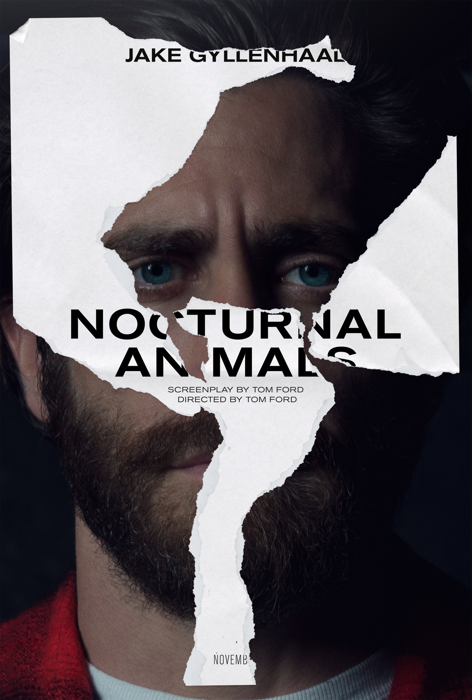 Nocturnal Animals