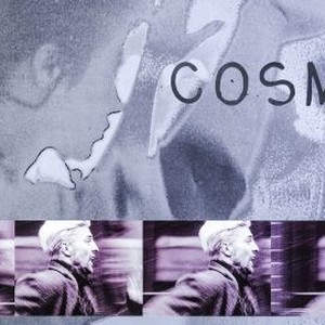 Cosmos photo 4