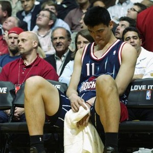 The Year of the Yao (2004) photo 11