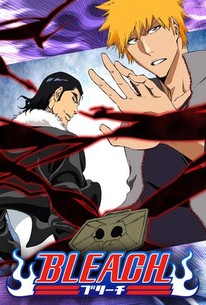 Bleach Collection 06 (Eps 92-109) (Season 5) ~ DVD