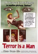 Terror Is a Man poster image