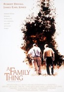 A Family Thing poster image