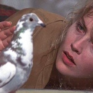 Scissors (1991)
