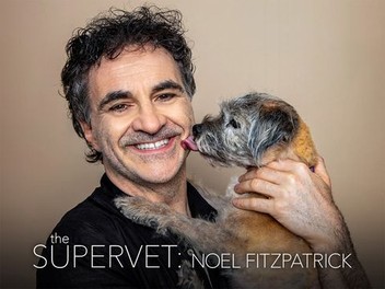 Noel sale fitzpatrick dog
