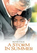 A Storm in Summer poster image