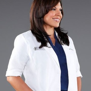 Sara Ramirez as Dr. Callie Torres
