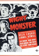 Night Monster poster image