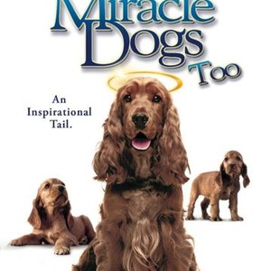 Miracle Dogs Too (2006) photo 9