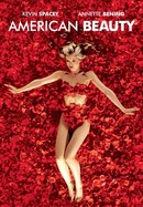 American Beauty poster image