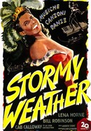 Stormy Weather poster image