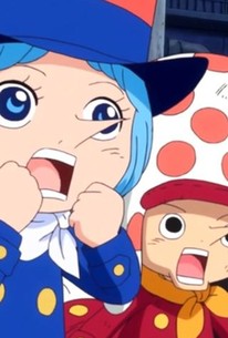 One Piece: Season 17, Episode 103 - Rotten Tomatoes