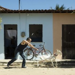 Get the Goat photo 7