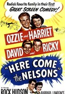 Here Come the Nelsons poster image