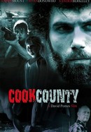Cook County poster image