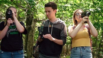 Reel Monsters | Rotten Tomatoes
