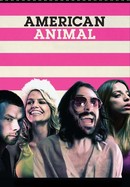 American Animal poster image