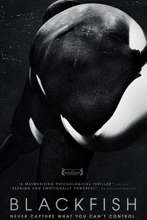Blackfish poster