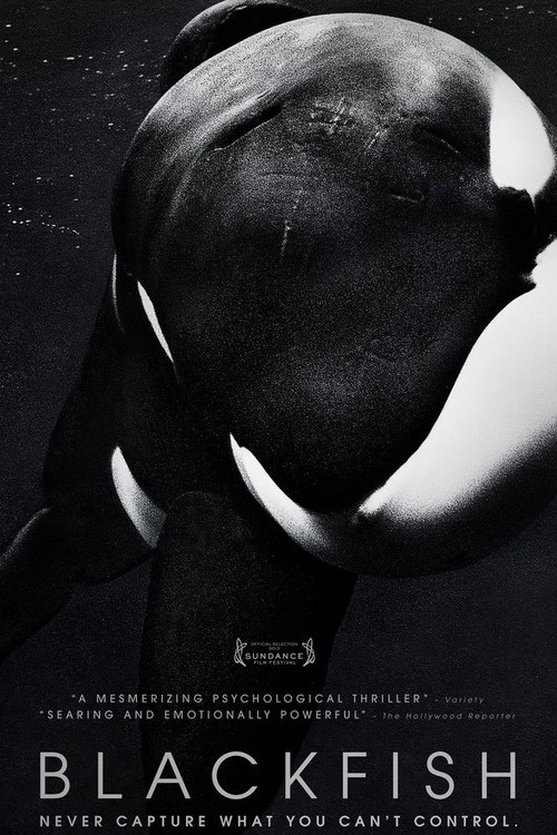Blackfish poster