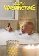 All About the Washingtons poster image