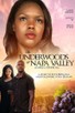 Poster for