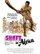 Shaft in Africa