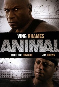Watch trailer for Animal