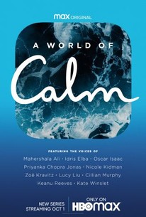 A World of Calm poster image