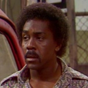 Sanford and Son: Season 2, Episode 9 - Rotten Tomatoes