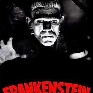 Frankenstein photo 14
