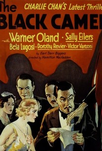 黒い駱駝 / The Black Camel