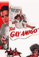 The Gay Amigo poster image