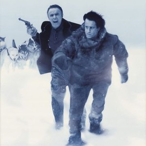 North Star photo 6