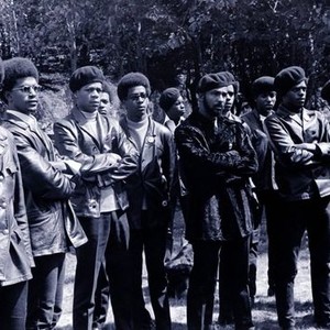 The Black Panthers: Vanguard of the Revolution (2015) photo 1
