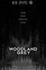 Poster for 