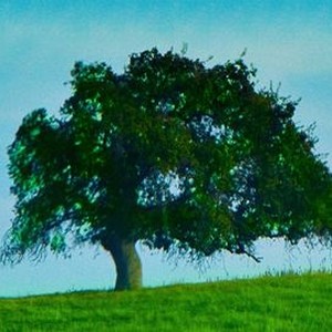"The Secrets of Life photo 8"