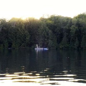 Bloom Rotten Tomatoes