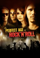 The Perfect Age of Rock 'n' Roll poster image