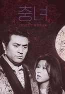 The Insect Woman poster image