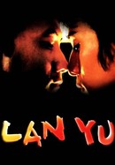 Lan Yu poster image