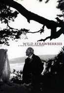 Wild Strawberries poster image