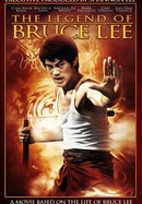 The Legend of Bruce Lee poster image